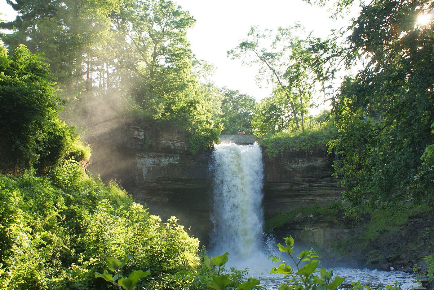 Waterfall in a green forest