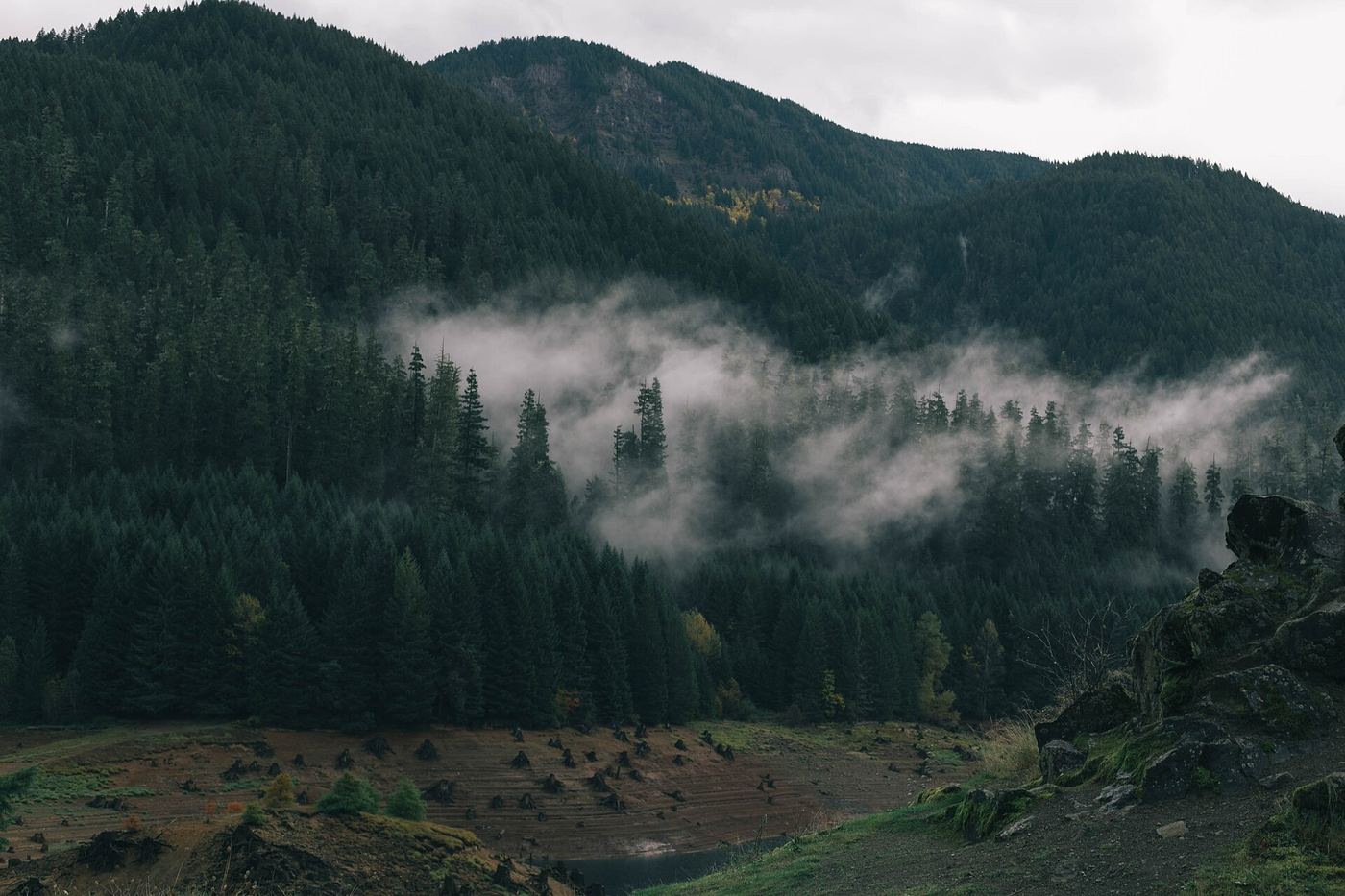 Mist drifting through a forested valley