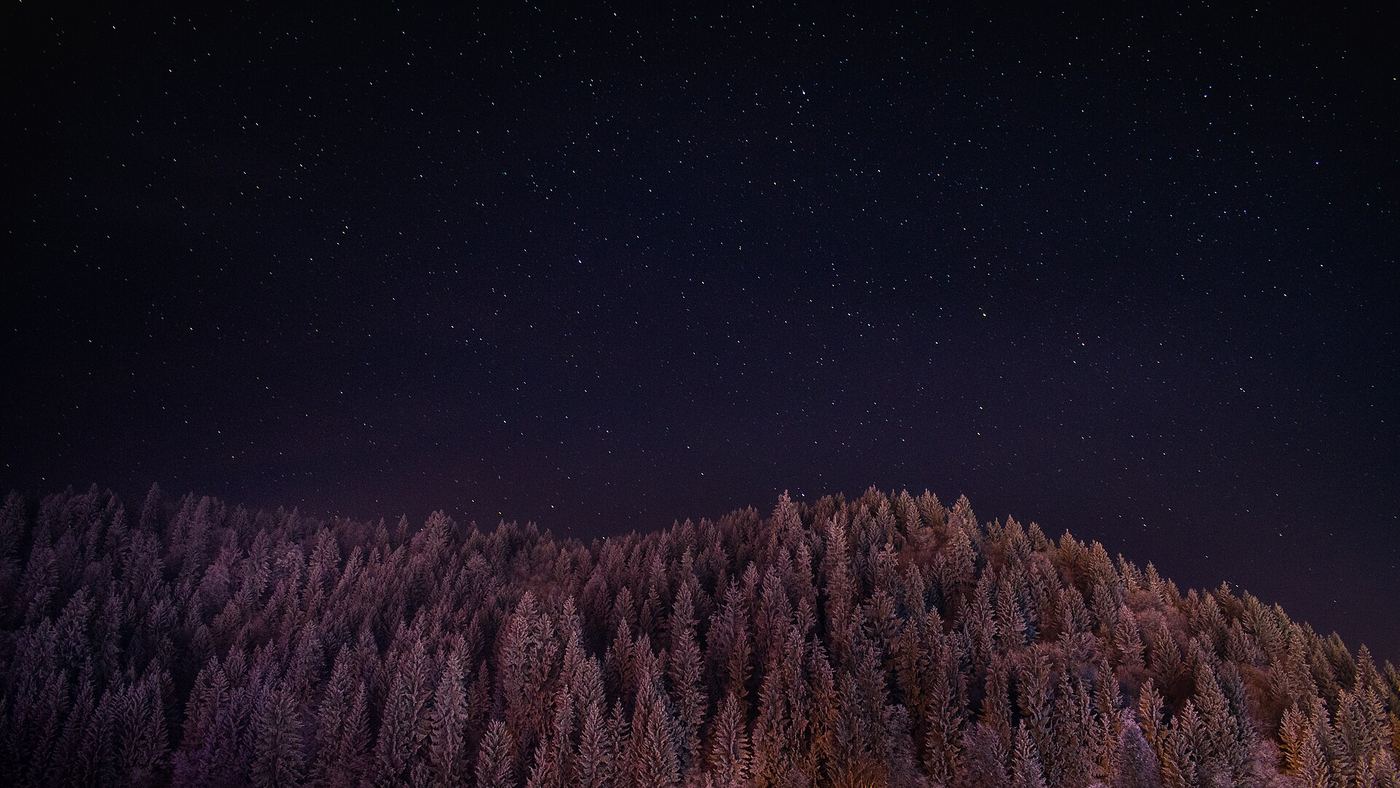 Stars over a forested hill